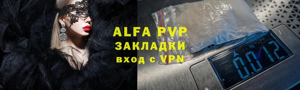 шишки Краснослободск