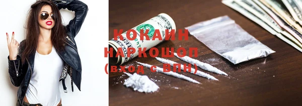 шишки Краснослободск