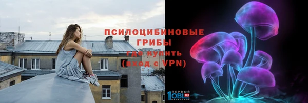 шишки Краснослободск
