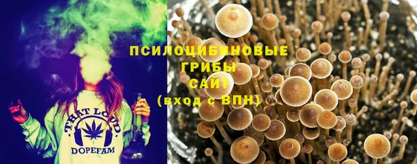 шишки Краснослободск