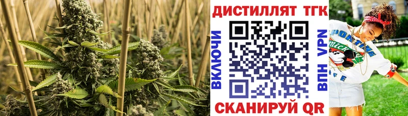 Купить где  Калуга  ТГК вейп с тгк 