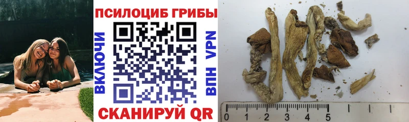 Купить закладки  Калуга  Галлюциногенные грибы Magic Shrooms 