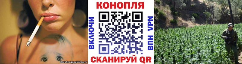 Бошки Шишки ГИДРОПОН  Купить закладки  Калуга 